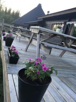 Hotels in Dorotea